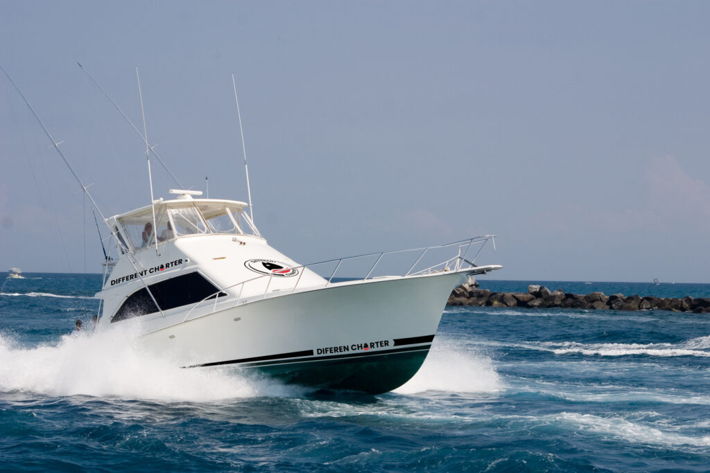 different charter going fishing